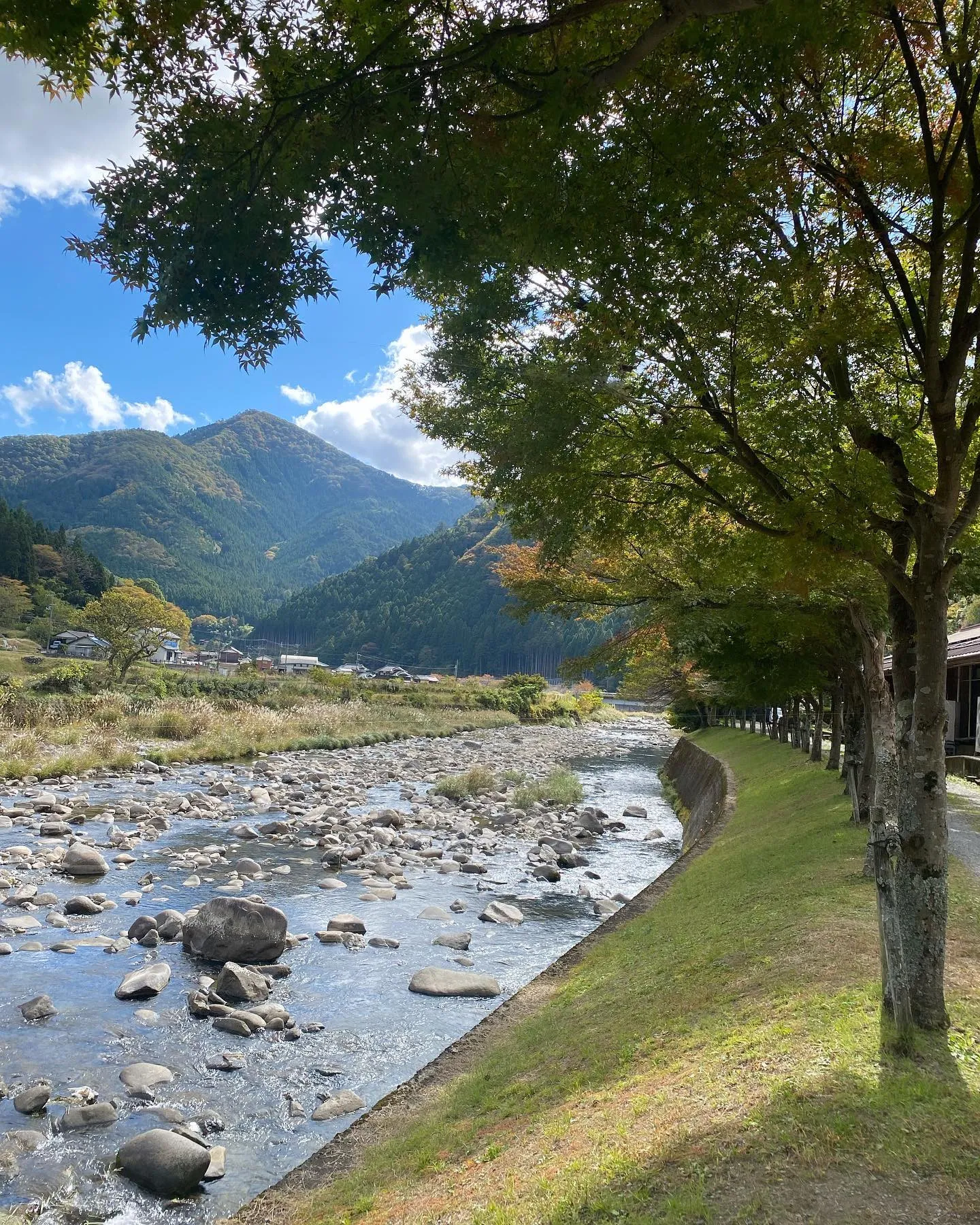 秋晴れの良い天気
