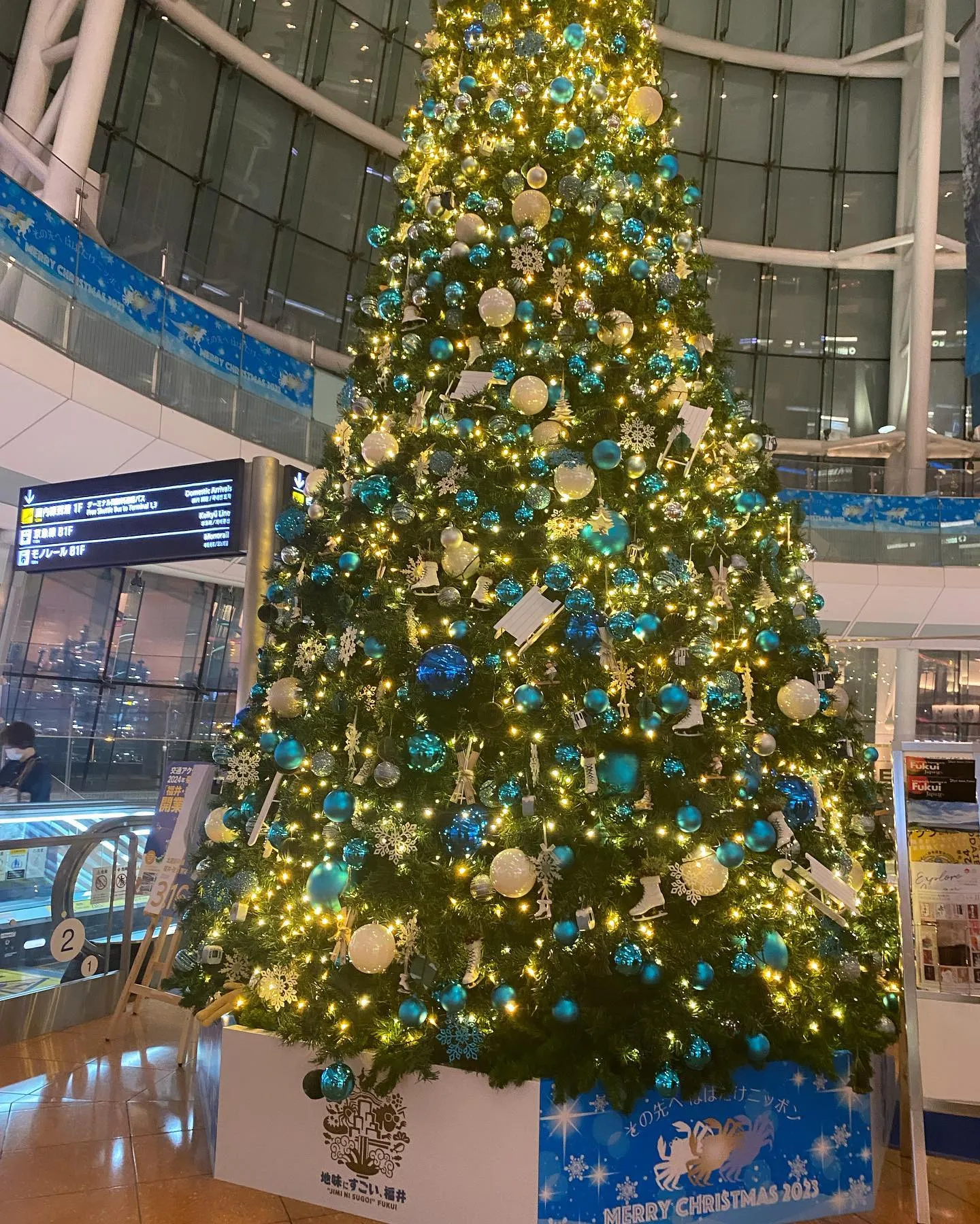 一気に寒くなり、イルミネーションが綺麗な時期になりましたね😆